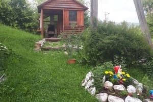 Карпатский домик 7