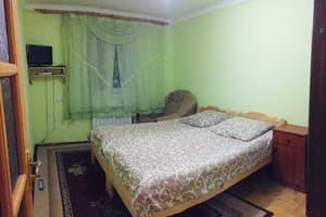 Карпатский домик 1