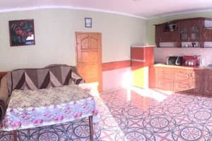 Карпатский домик 2