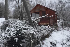 Карпатский домик 9