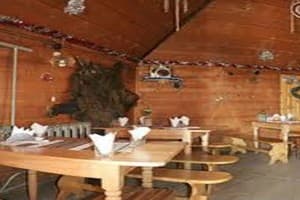 Карпатський водограй 4