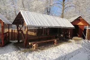 Карпатський водограй 5