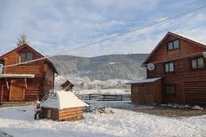 Карпатський водограй 6