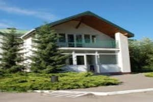 Карпатський водограй 1