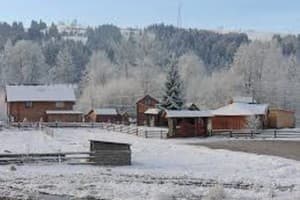 Карпатський водограй 2