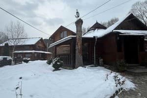 Карпатський водограй 2