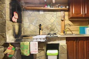 Карпатское солнце 5