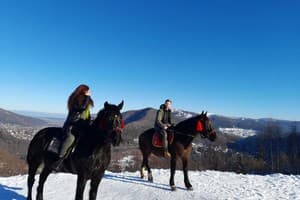 Кливерент 14