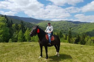 Кливерент 15