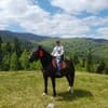 Кливерент 15-16/16