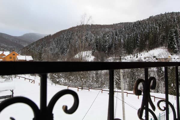 Кливерент 15