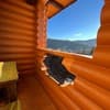Отель Княжий двор. Улучшенный трехместный  4