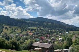 Коло Друзів 2