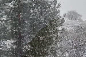 Коло Друзів 6