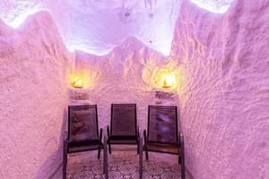 Konopka Forest Home & SPA 15