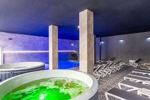 Konopka Forest Home & SPA 11