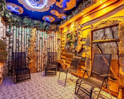 Konopka Forest Home & SPA 11