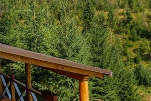 Отель Konopka Forest Home & SPA. Коттедж 8-местный Вилла 17