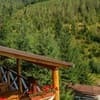 Отель Konopka Forest Home & SPA. Коттедж 8-местный Вилла 17