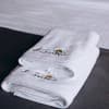 Отель Konopka Forest Home & SPA. Стандарт двухместный Double 8