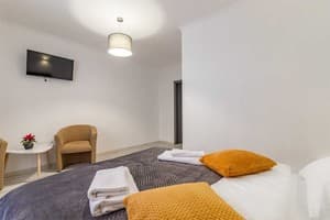 Отель Konopka Forest Home & SPA. Стандарт двухместный NEW 2
