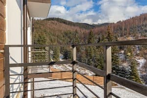 Отель Konopka Forest Home & SPA. Стандарт двухместный NEW-вид на горы 4