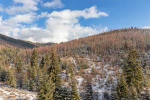 Отель Konopka Forest Home & SPA. Стандарт двухместный NEW-вид на горы 7