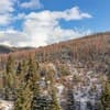 Отель Konopka Forest Home & SPA. Стандарт двухместный NEW-вид на горы 7