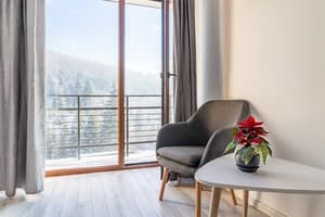 Отель Konopka Forest Home & SPA. Стандарт двухместный NEW-вид на горы 3