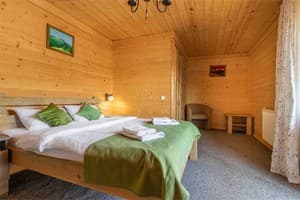Отель Konopka Forest Home & SPA. Стандарт двухместный с видом на горы 1