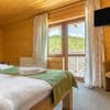 Отель Konopka Forest Home & SPA. Стандарт двухместный с видом на горы 2