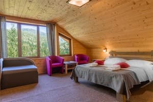 Отель Konopka Forest Home & SPA. Стандарт трехместный  1