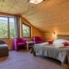 Отель Konopka Forest Home & SPA. Стандарт трехместный  1