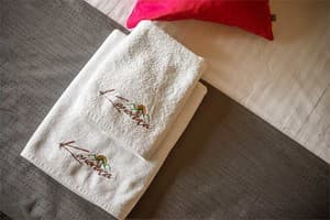 Отель Konopka Forest Home & SPA. Стандарт трехместный  4