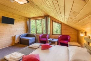 Отель Konopka Forest Home & SPA. Стандарт трехместный  6