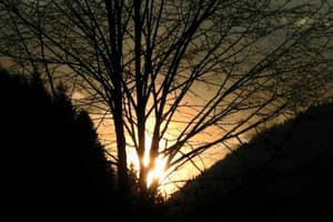 Корона Карпат 8