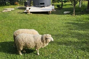 Космацька Писанка 2