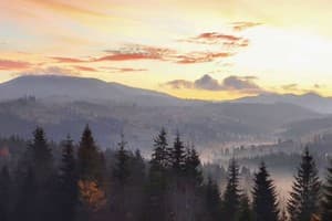 Котеджі Цімбори 26