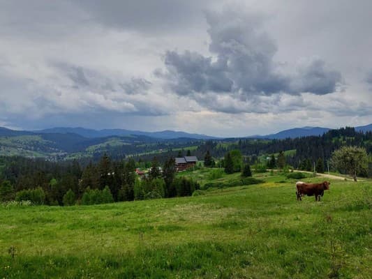 Котеджі Цімбори 28