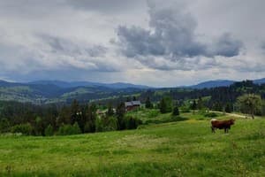 Котеджі Цімбори 28