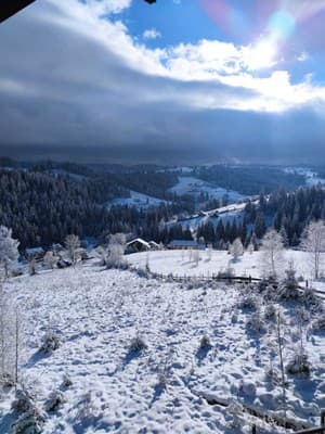 Котеджі Цімбори 31