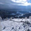 Котеджі Цімбори 31-32/35