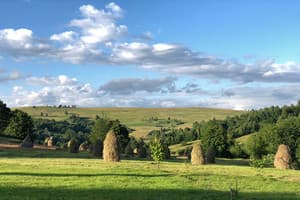 Коттедж в горах  10