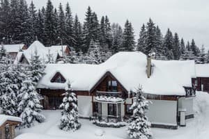 Частная усадьба Коттедж. Коттедж 8-местный Гуцульский 7
