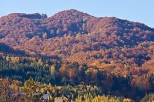 Коттеджный городок Эдельвейс Карпаты Мигово 7