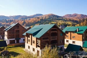 Коттеджный городок Эдельвейс Карпаты Мигово 1
