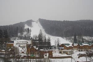 Коттеджный городок Эдельвейс Карпаты Мигово 8