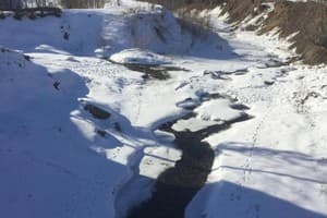 Коттеджный городок Эдельвейс Карпаты Мигово 11