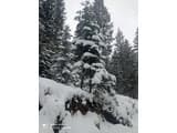 Краєвид 18
