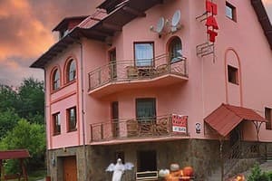 Краса Карпат 19